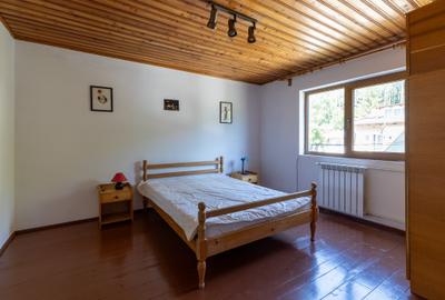 Vila in Bușteni cu vedere spre vf. Caraiman - 19