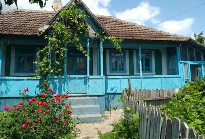 Casa batraneasca la tara - 2