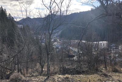 Teren de 5062 mp, în Voineasa - 5