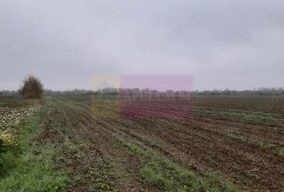 Teren Investi?ie aproape de Bucure?ti - 3