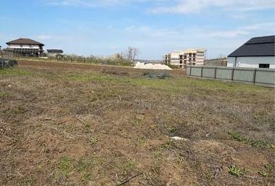 Casă cu Teren 615 Mp în Cârlig - 3