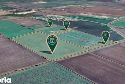 Teren de 117500 mp, în Central