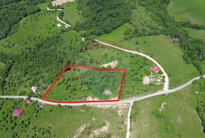 Teren de 12700 mp, în Codru Butesii - 2