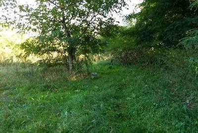 Teren de 3834 mp, în Negoiești - 2