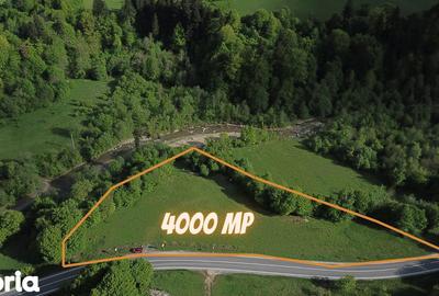 Teren de 4000 mp, în Babarunca - 1