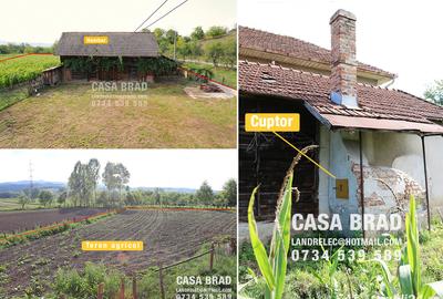 Casă cu 5 camere cu Teren 1373 Mp în Brad - 1