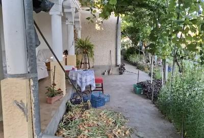 Casă cu 3 camere cu Teren 650 Mp în Sfântu Gheorghe - 6