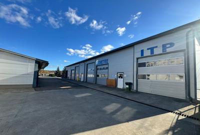 SERVICE AUTO Ultramodern (Business ultraprofitabil la cheie - 6