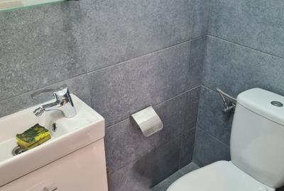 Casă individuală cu 18 camere cu Canalizare în Calea Călărașilor - 30