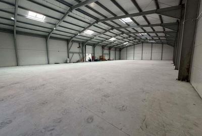 Spatiu depozitare si productie Otopeni - 3