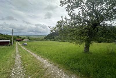 Teren cu priveliste deosebita, 2000mp in Fantanele - 3