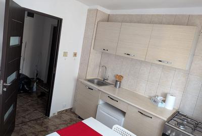 Vanzare Apartament 2 Camere Dristor - Complet Renovat - 5
