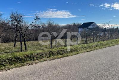 Casă individuală cu 2 camere cu Teren 3772 Mp în Cocu - 4