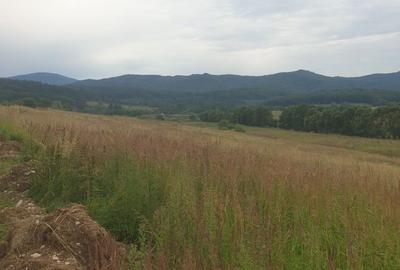 Spațiu comercial, în Vlădeni - 3