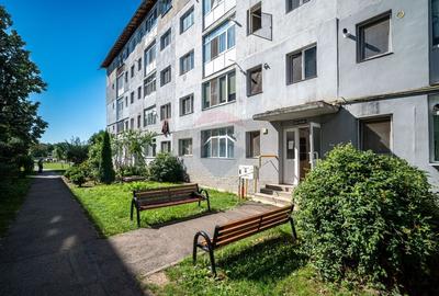 Apartament luminos, 2 camere,  renovat, Parter - Breaza - 15