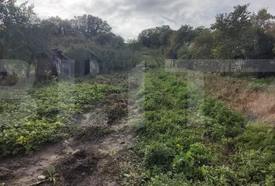 Casa de vanzare, 3 camere, 4663 mp teren, CF, Sat Barai - 5