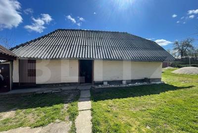 Casa cu 3 camere, 90 mp, 2 anexe gospodaresti si teren de 3000 mp, zona Crucisor - 14