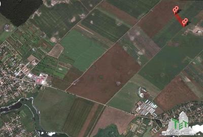 Oferim spre vanzare 6 loturi de teren extravilan (agricol) in Petrachioaia ILFOV - 6