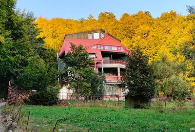 Casă cu 6 camere cu Teren 5600 Mp în Lepșa - 10