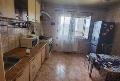 APARTAMENT 3 CAMERE-SEBASTIAN-PARC-VULCAN CENTRE-HOL H - 4