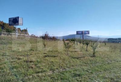 Teren de 15000 mp, în Viișoara