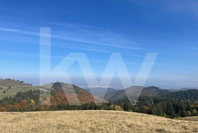 De vanzare: Parcele in Paltini? de la DOAR 15.000 EUR! ? - 1