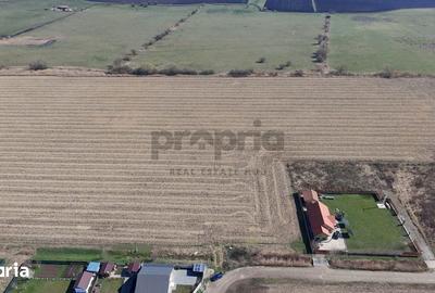 Teren de 6400 mp, în Stupini