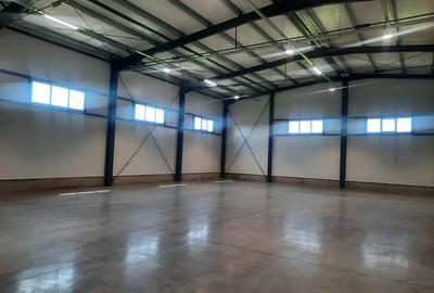 Hala noua de inchiriat, Zona Aeroport - 2