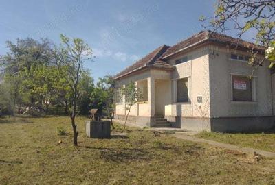 Casa in Viile Satu Mare cu 41 ari teren - 3