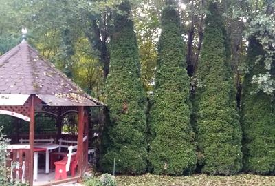 Proprietate cu destinatie mixta in Campul Cetatii Proprietate cu destinatie mixta in Campul Cetatii - 10