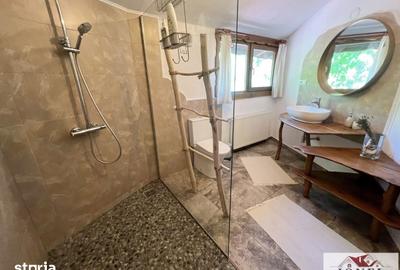Casă cu 5 camere decomandat cu Teren 8633 Mp în Central - 3