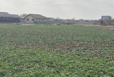 Teren intravilan Balotesti,langa ansamblul Terra si padure, 17000 euro - 6