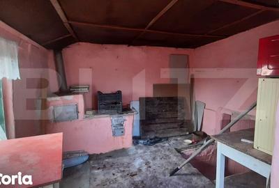 Casă cu 3 camere cu Teren 3000 Mp în Doba - 6