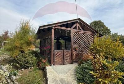 Casa de vanzare- Orsova Casa de vanzare- Orsova - 12