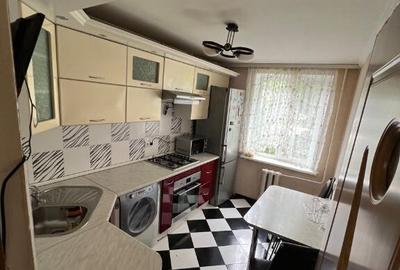 Apartament cu o camera Faget - 3
