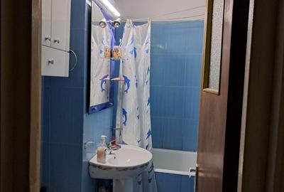 Apartament cu 2 camere decomandat în Exercițiu - 6