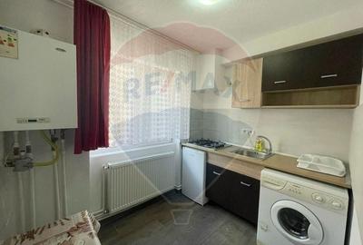 Apartament cu 1 camere semidecomandat, mobilat în Grădiște - 4