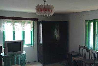Casă cu 3 camere cu Teren 1800 Mp în Grânari - 2