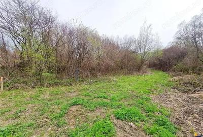 Teren de 1683 mp, în Lunca Calnicului - 3