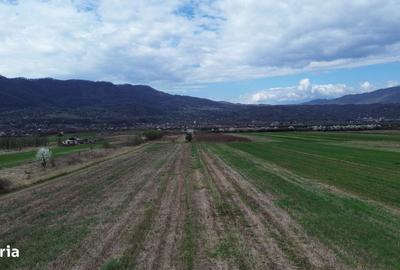 Teren de 6581 mp, în Central - 5