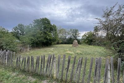 Spațiu comercial, în Buciumeni - 2