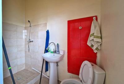 Proprietate Premium cu Hala si Cladire P+1E | 2 Fronturi Stradale - 10