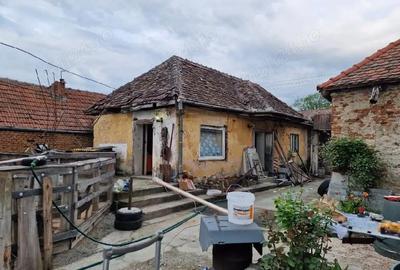 Casă cu Teren 1500 Mp în Săcădate - 2