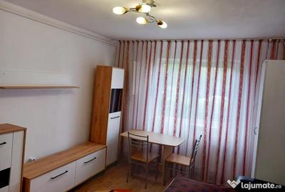 Garsonieră nedecomandată în Uzina 2 - 5