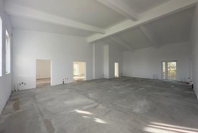 Spațiu comercial, de 202 mp, în Șipote - 3