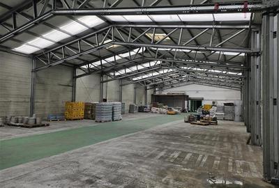 Spațiu industrial, de 1,000 mp, în Central - 2