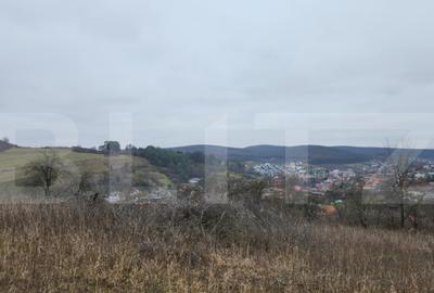 Teren intravilan 4774 mp de vanzare in Livezeni - 9