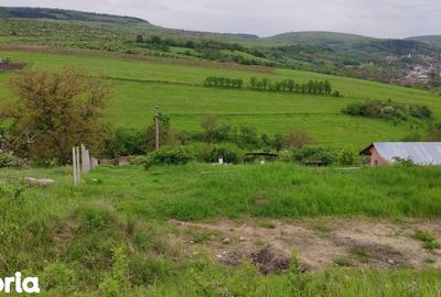 Teren de 2506 mp, în Baciu - 5
