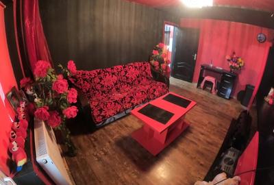 Apartament cu 2 camere nedecomandat în Central - 5