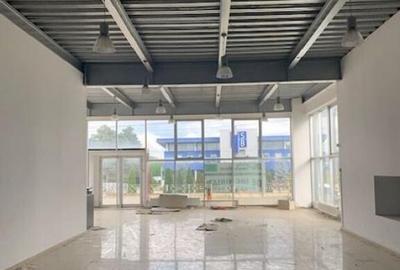 Spa?iu industrial - Hala de vanzare, Calea Republicii ! - 10